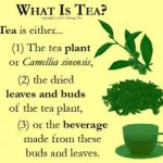 An Introduction to the Six Classes of Tea