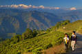 5 Places to Visit India Tea Plantations