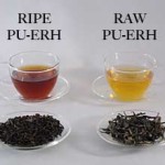 What are the types of Pu'erh tea and their brewing types